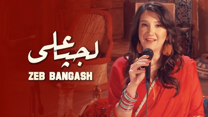 hire-zeb-bangash-for-corporate-events
